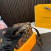 Replica Louis Vuitton Bag 20*19CM