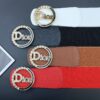 Replica DIOR belt