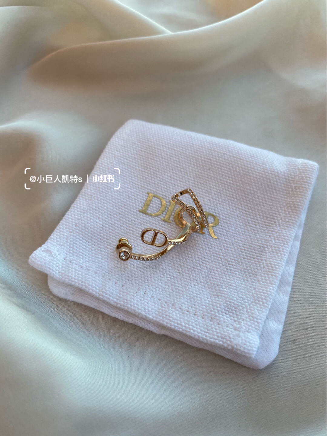 Replica DIOR Earring