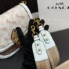 Replica Coach Bag 18*22CM