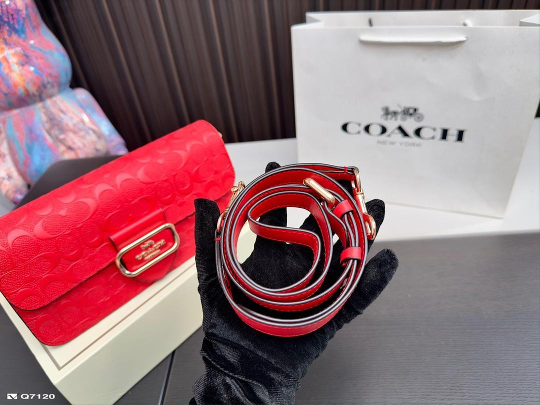Replica Coach Bag 14*25CM