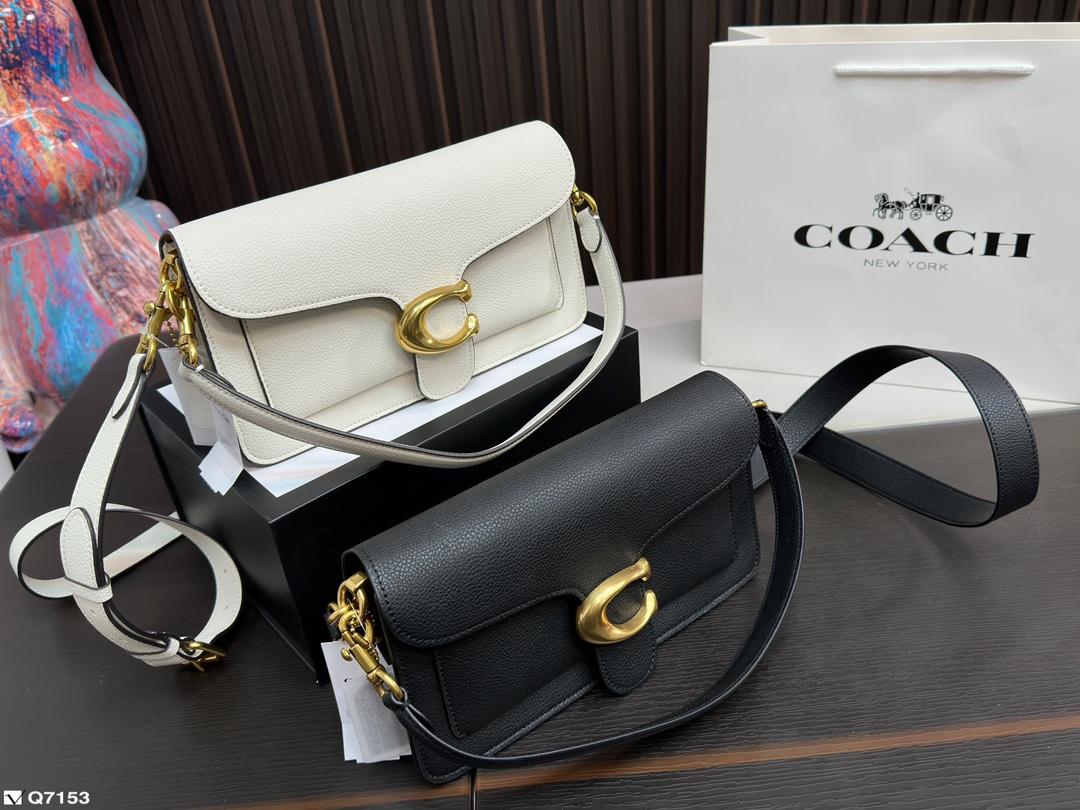 Replica Coach Bag 13*25CM