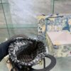 Replica Dior Bag 22*20CM