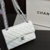 Replica Chanel Bag 25*15CM