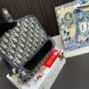 Replica Dior Bag 22*14CM