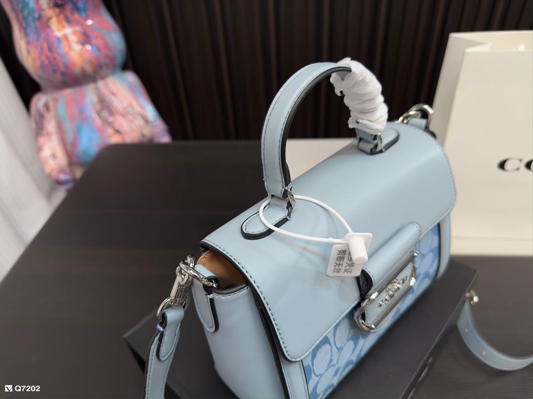 Replica Coach Bag 16*20CM