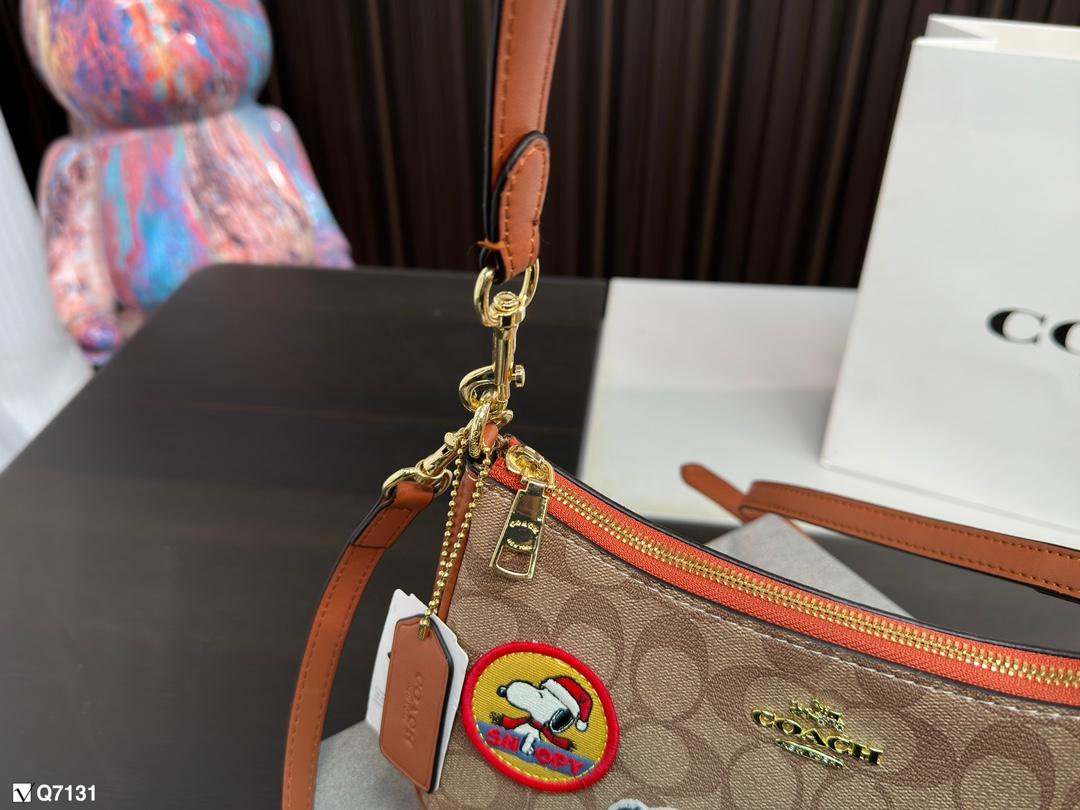Replica Coach Bag 12*23CM