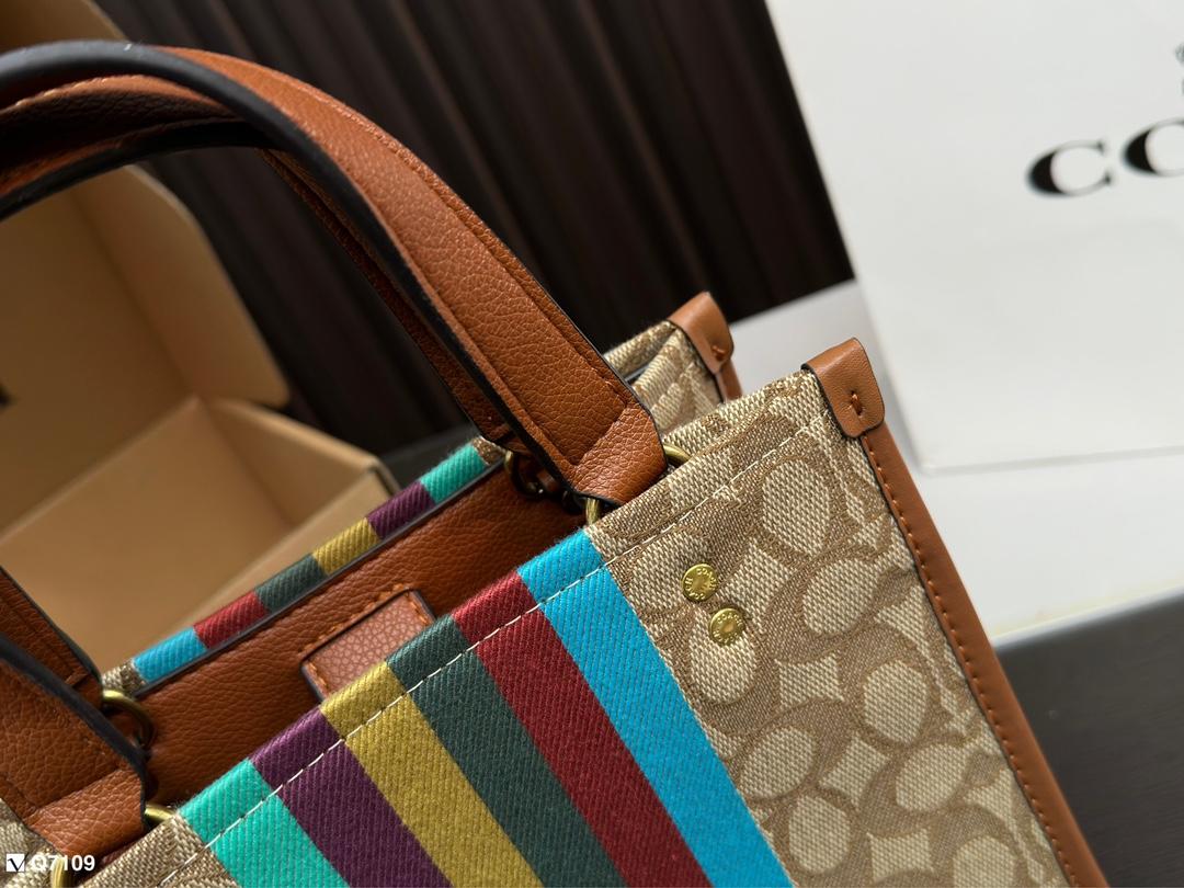 Replica Coach Bag 21*21CM