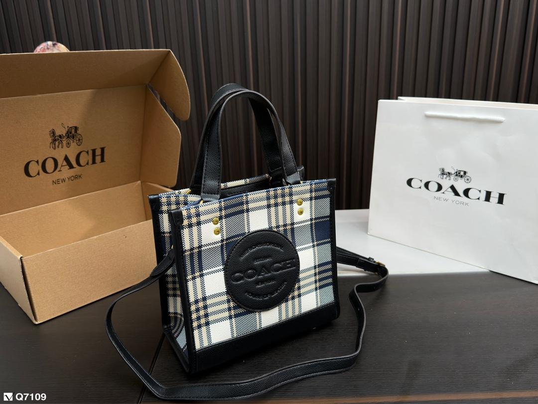 Replica Coach Bag 21*21CM