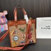 Replica Coach Bag 30*30CM
