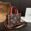 Replica Coach Bag 21*21CM