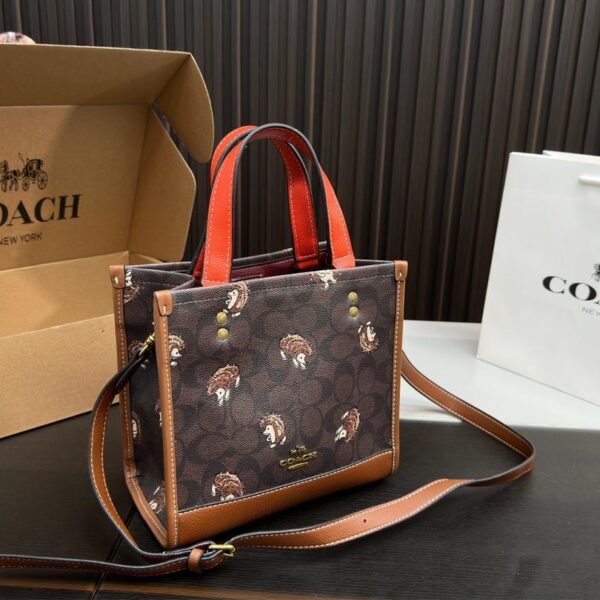 Replica Coach Bag 21*21CM