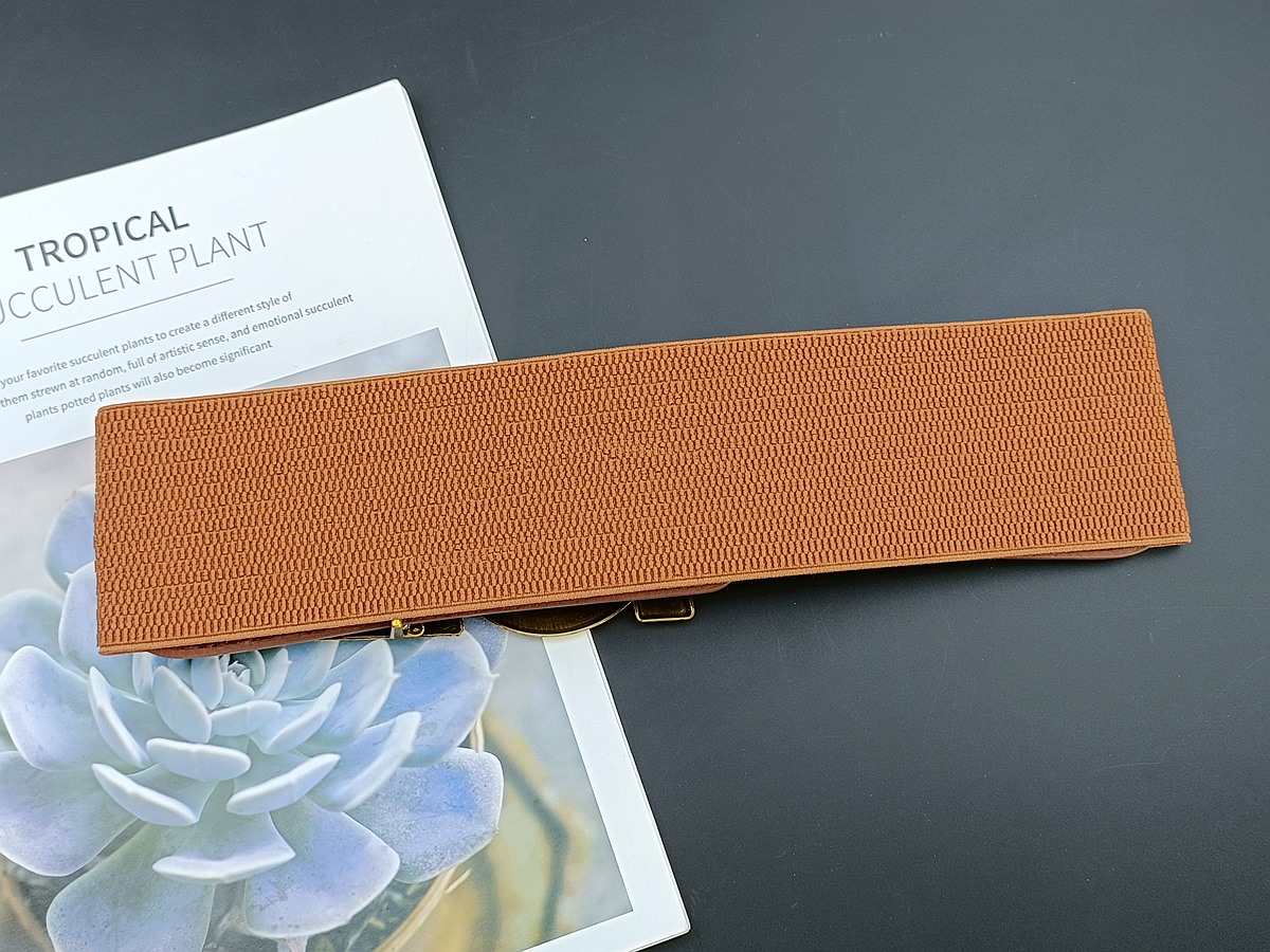 Replica YSL belt