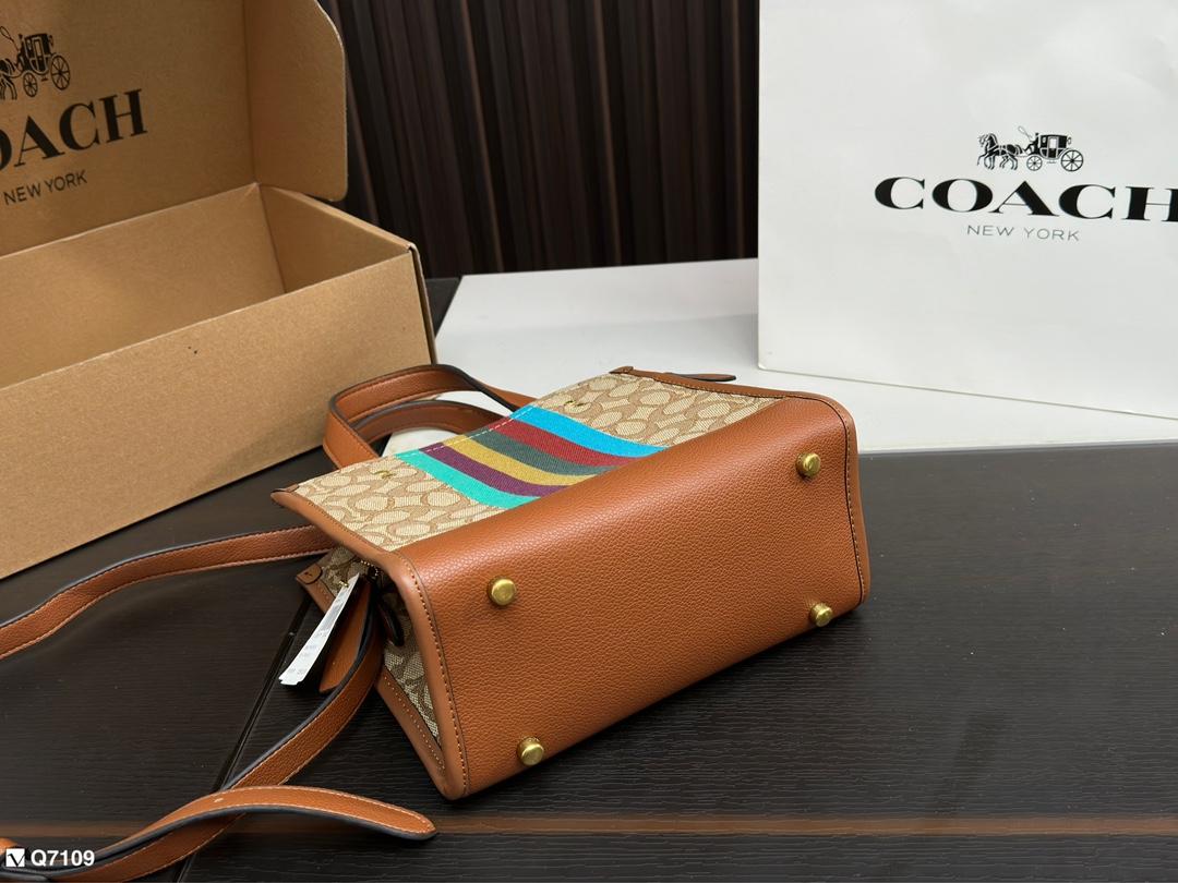 Replica Coach Bag 21*21CM
