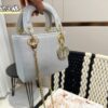 Replica Dior Bag  17CM