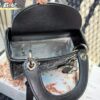 Replica Dior Bag 17CM/20CM