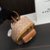 Replica Coach Bag 22*24CM