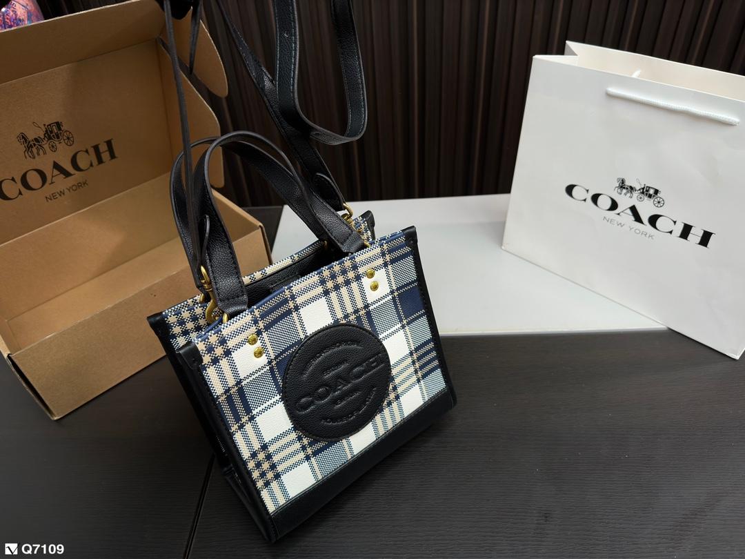 Replica Coach Bag 21*21CM