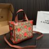 Replica Coach Bag 21*21CM