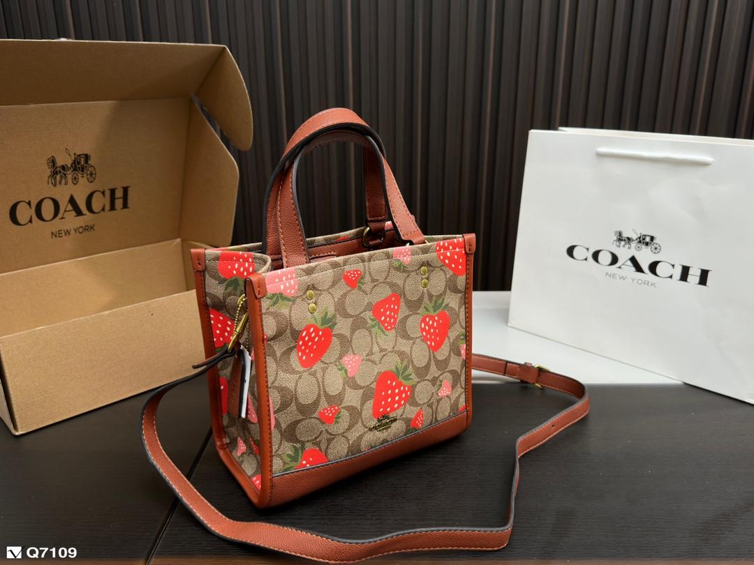 Replica Coach Bag 21*21CM