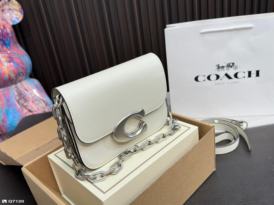 Replica Coach Bag 21*13CM