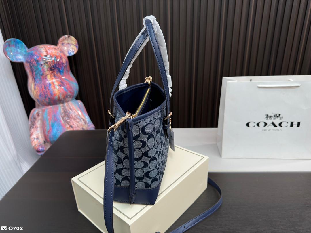 Replica Coach Bag 25*20CM