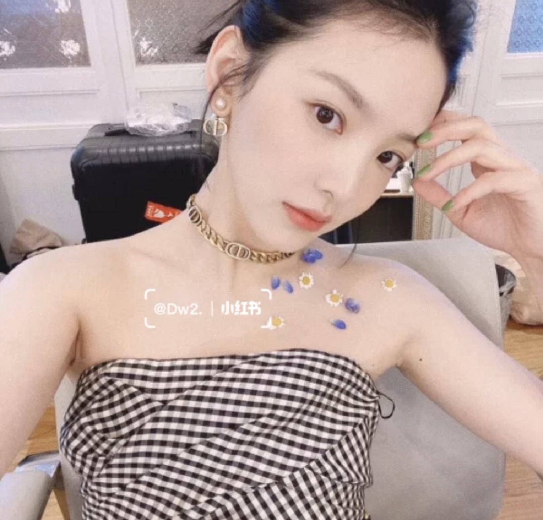 Replica DIOR Earring