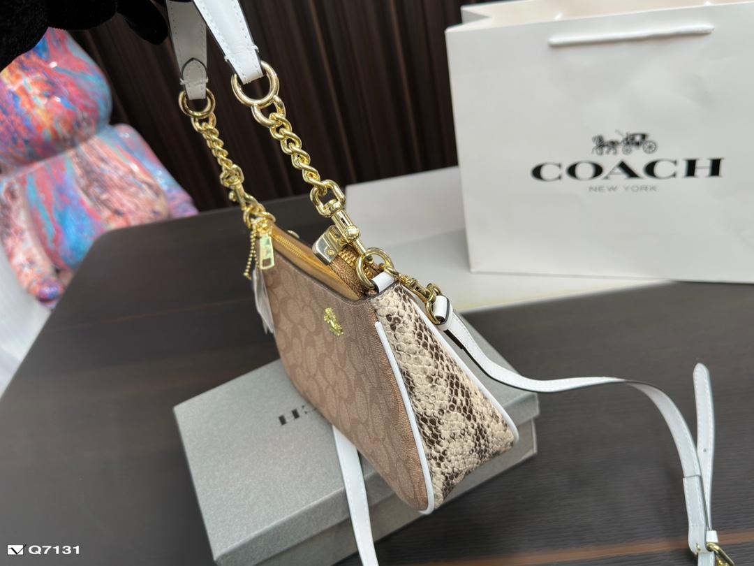 Replica Coach Bag 12*23CM
