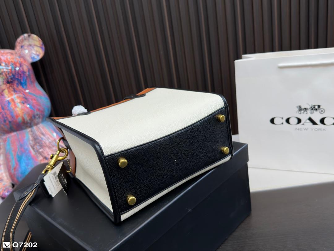 Replica Coach Bag 21*21CM/29*22CM