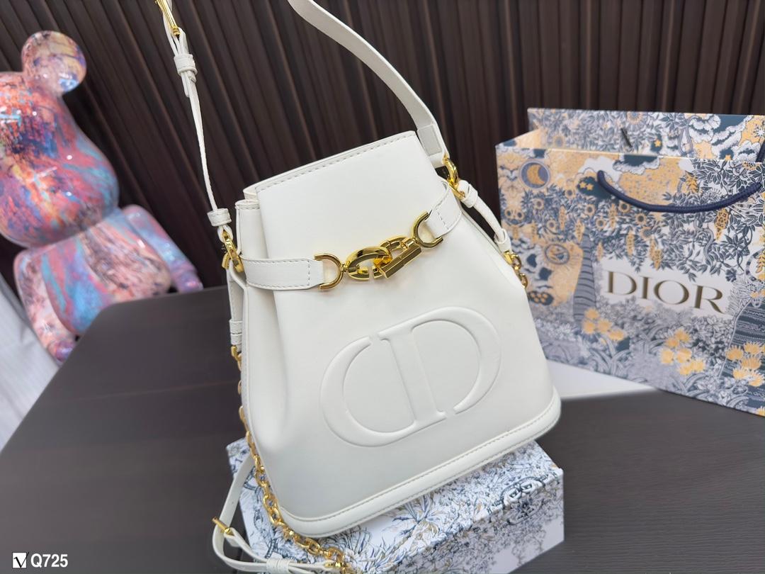 Replica Dior Bag  16*17CM/24*25CM
