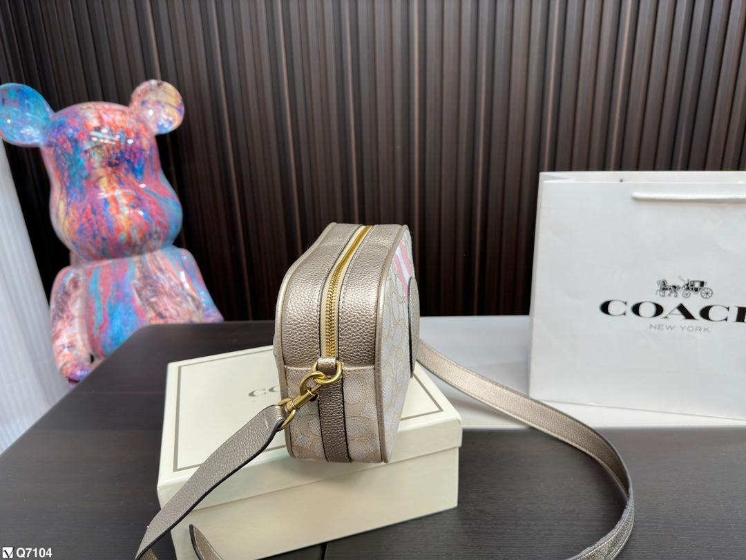 Replica Coach Bag 21*15CM