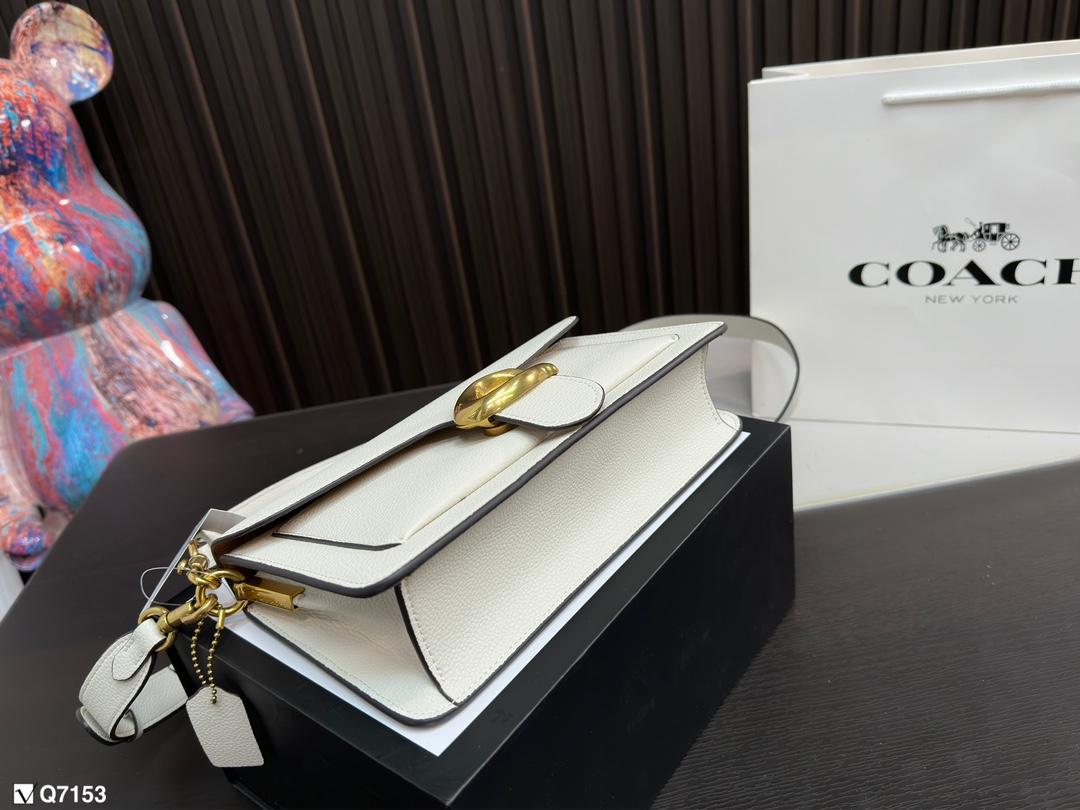 Replica Coach Bag 13*25CM