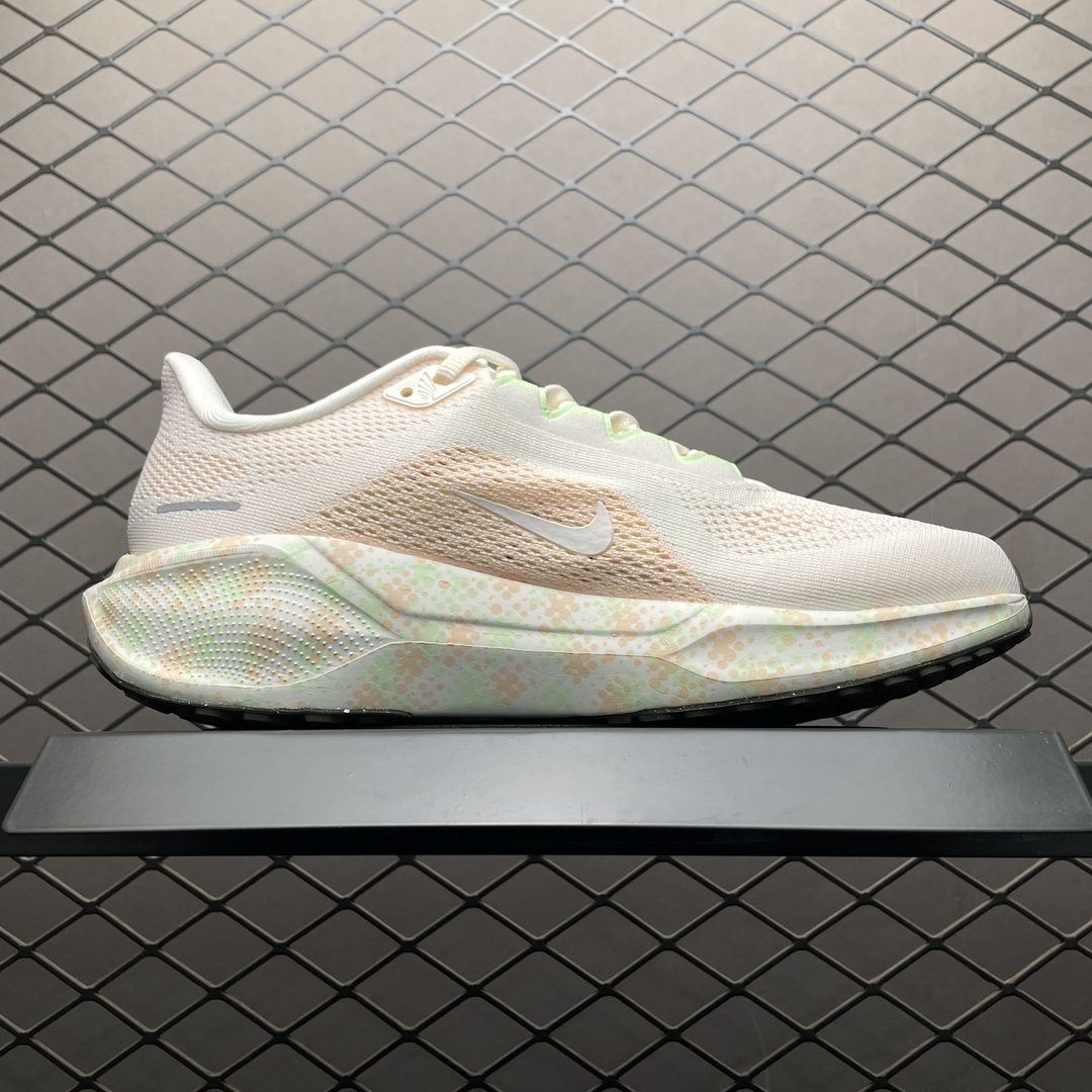 Replica Nike Shoe Nike Air Zoom pegasus 41  HM5539-133 size 36-40