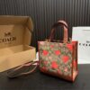 Replica Coach Bag 21*21CM