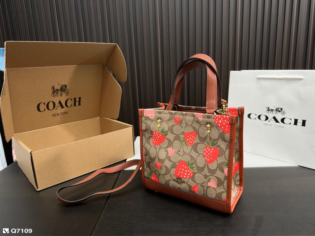 Replica Coach Bag 21*21CM