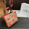 Replica Coach Bag 21*21CM