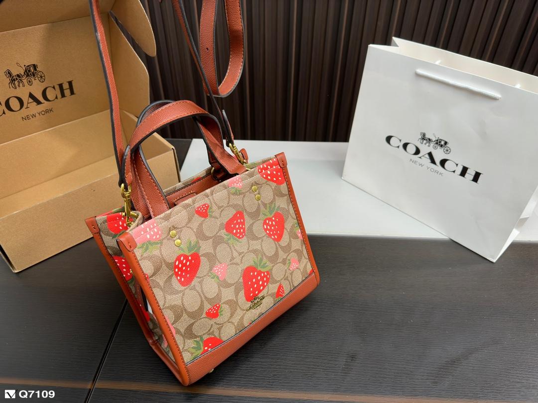 Replica Coach Bag 21*21CM