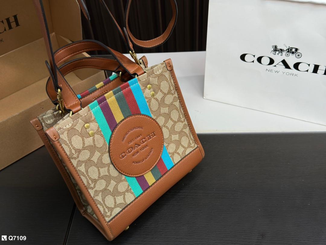 Replica Coach Bag 21*21CM