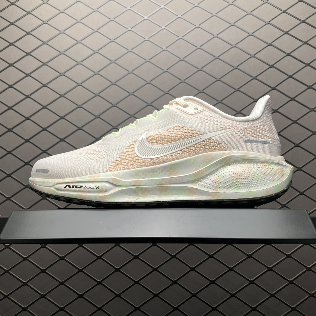 Replica Nike Shoe Nike Air Zoom pegasus 41  HM5539-133 size 36-40