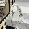 Replica Dior Bag 17CM/20CM