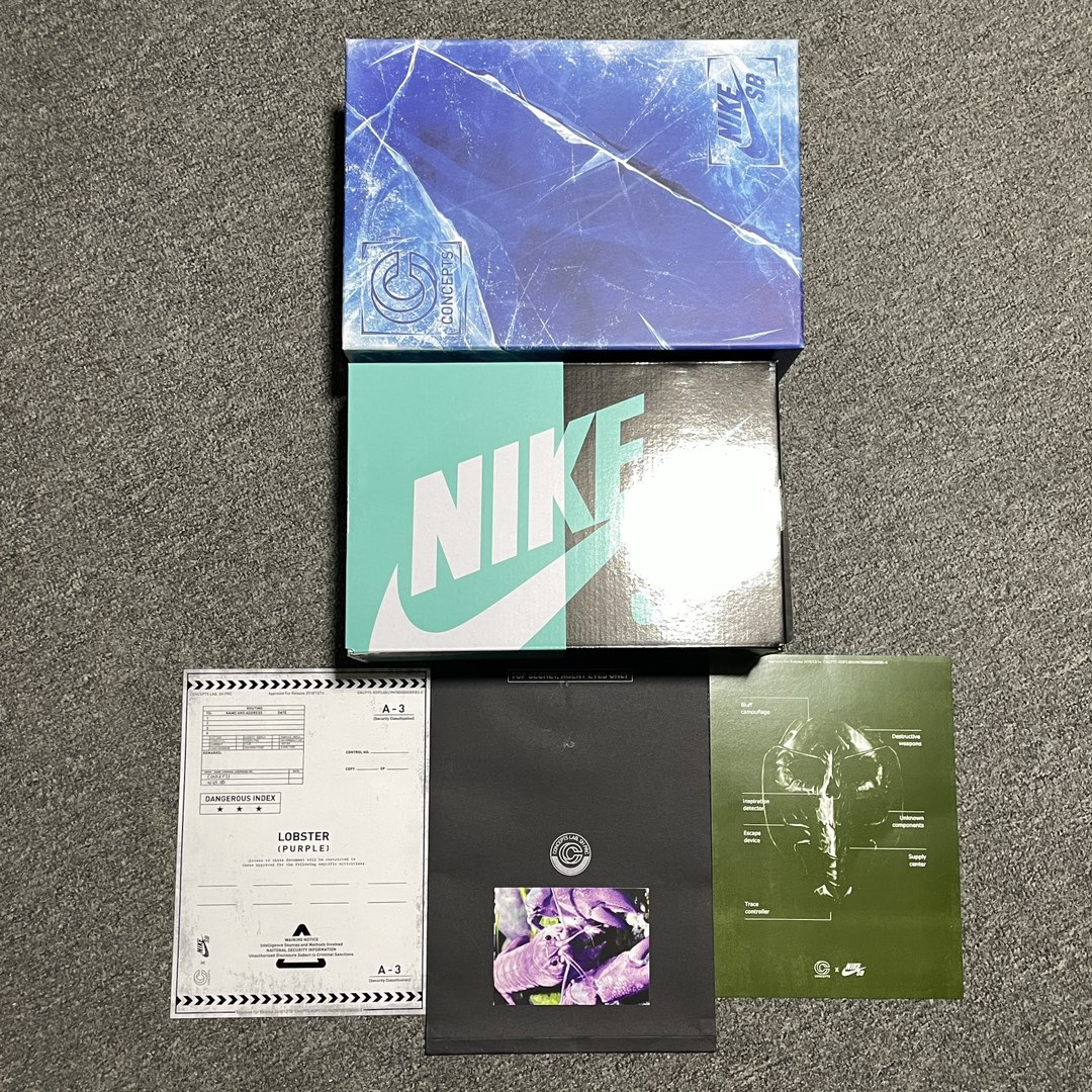 Replica Nike Dunk SB Shoe Concepts X NK SB Dunk Purple Lobster BV1310-555 Size 36-47