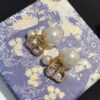 Replica DIOR Earring