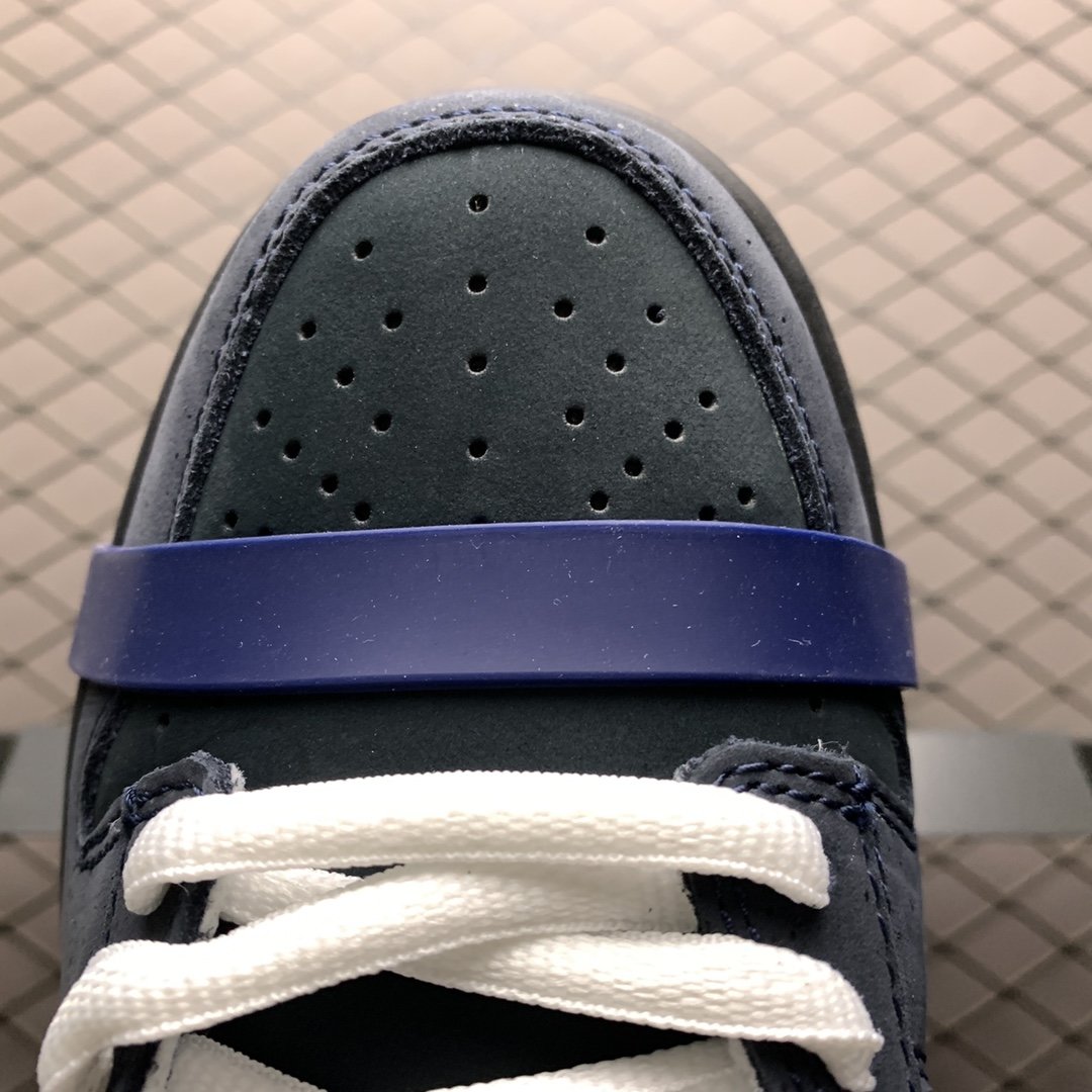 Replica Nike Dunk SB Shoe Concepts x Nike SB Dunk Low 313170-342 36-46
