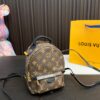 Replica Louis Vuitton Bag 22*15*8CM
