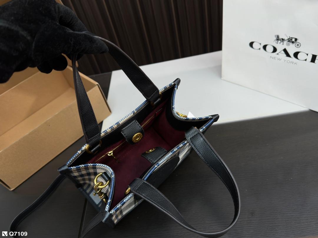 Replica Coach Bag 21*21CM