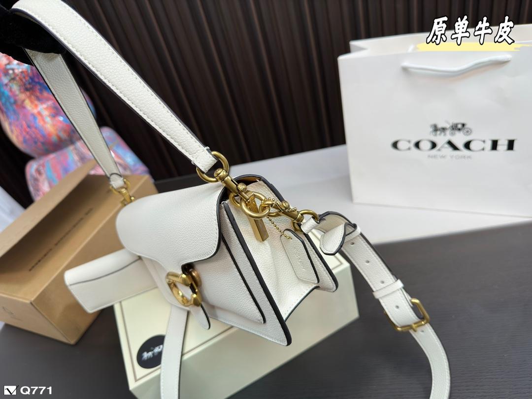 Replica Coach Bag 25*14CM