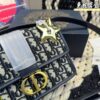 Replica Dior Bag 21*15CM