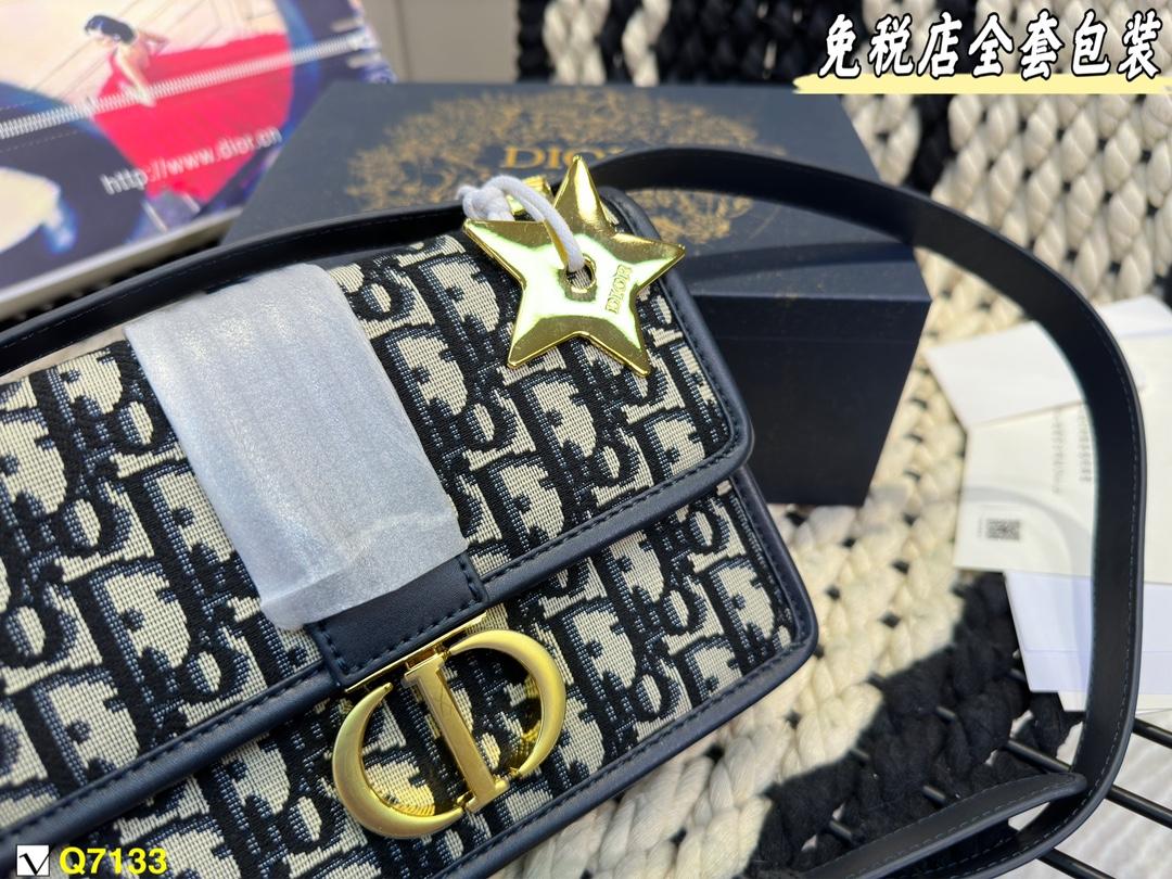 Replica Dior Bag 21*15CM