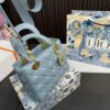 Replica Dior Bag 17*20CM