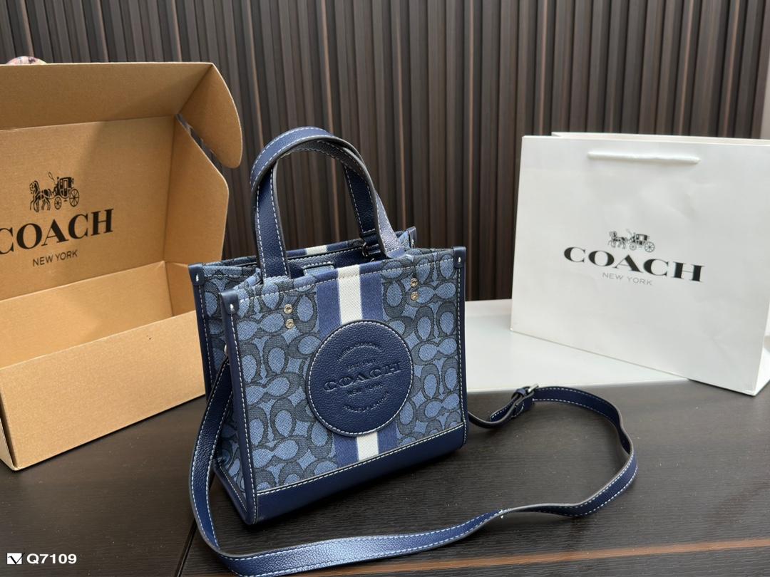 Replica Coach Bag 21*21CM